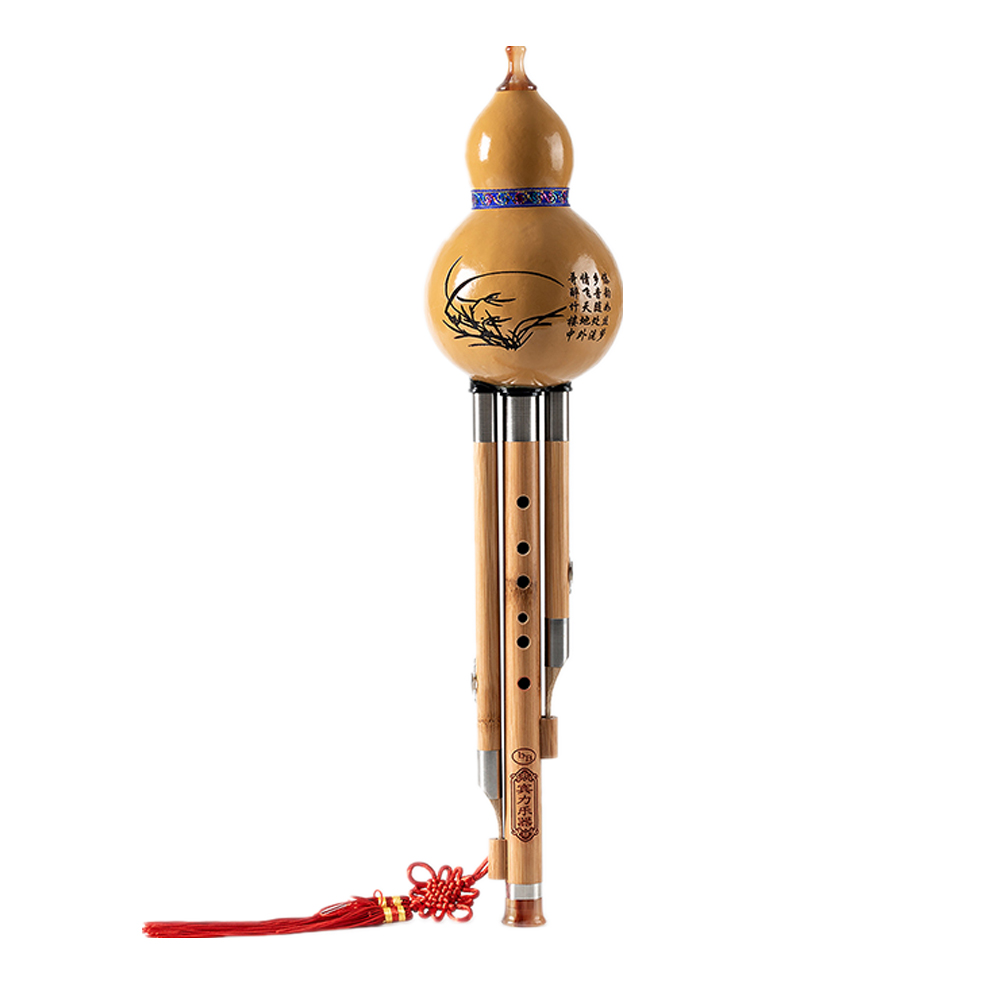 云南专业初学小学生成人agfd调降宾力乐器葫芦葫芦丝