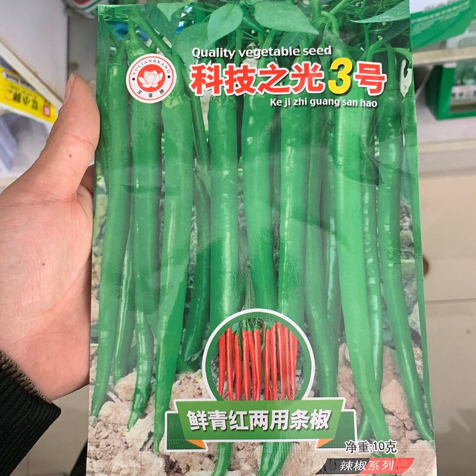 蔬菜种子正宗本地杭椒种子杭椒一号小尖椒辣椒红线椒青椒不辣包邮