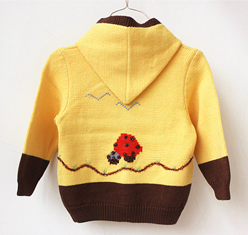 开衫秋冬扣春单排宝宝4岁手工毛线羊毛连帽毛衣