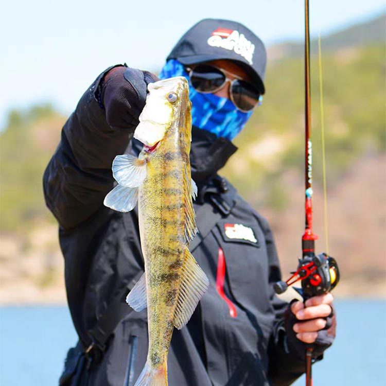 路亚美国红狼ml三竿套装水滴轮纺车轮枪柄路亚竿