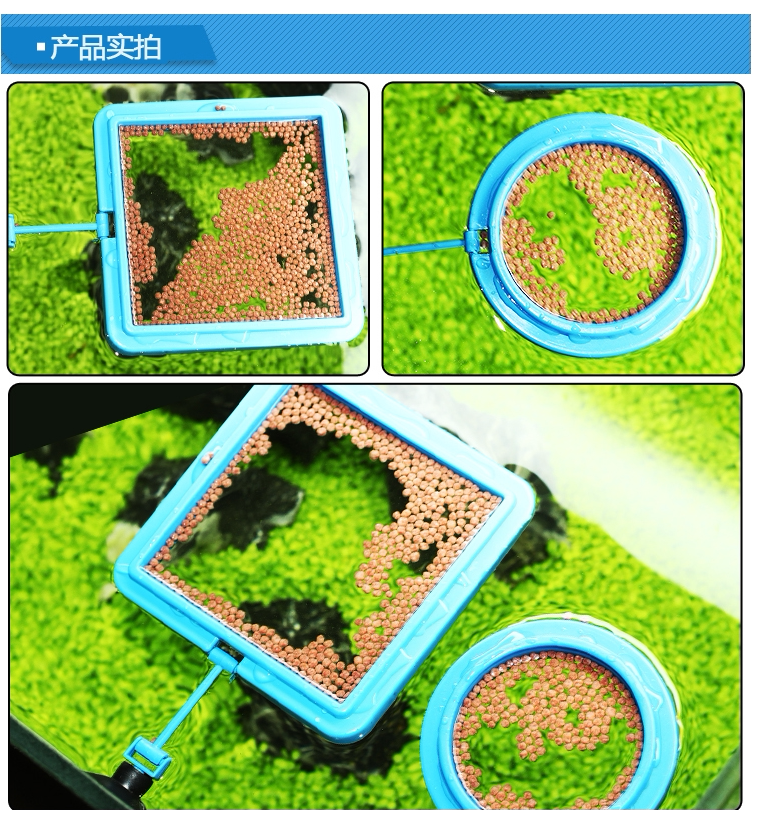 喂食自动热带孔雀鱼投食圈水族鱼缸食鱼粮鱼喂食器