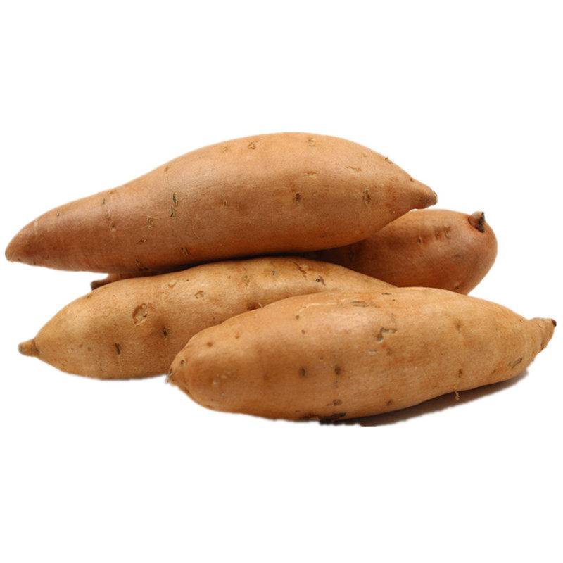 红薯云南红河高原甜糯生态地瓜5斤装黄皮黄皮黄番薯