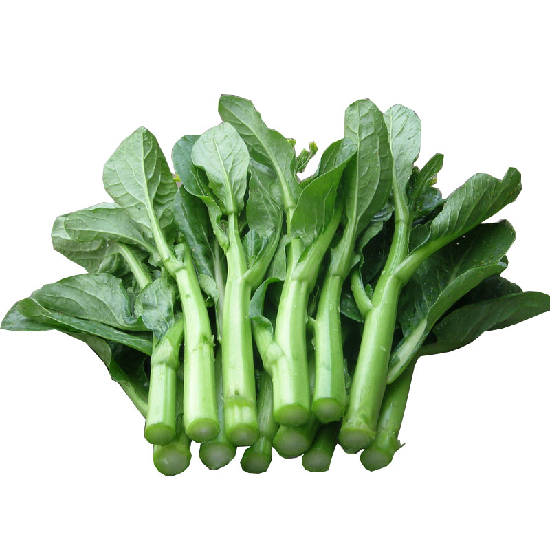 广东菜心种子四季播 四九增城特甜脆迟柳叶菜心 宁夏尖叶油青菜心