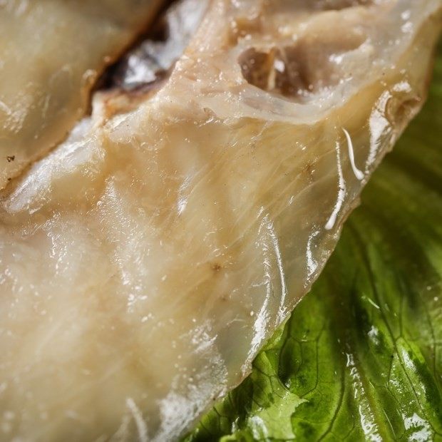 新货橡皮鱼剥皮鱼干马面鱼一斤2条装500g鱼干