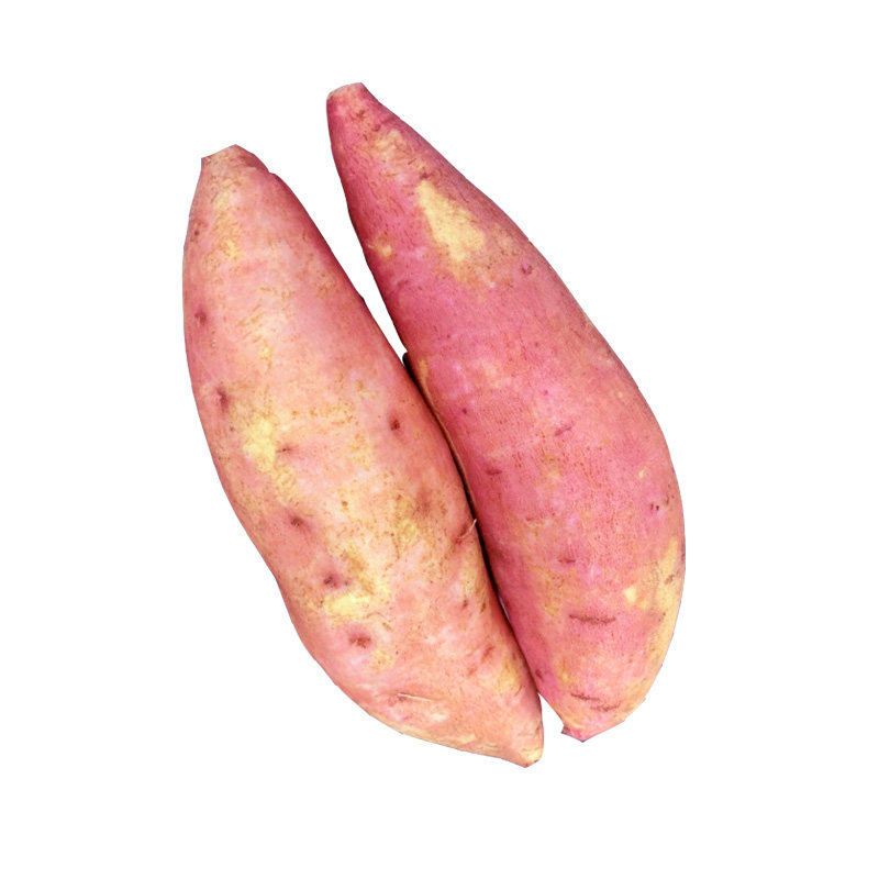 河南农家新鲜红薯精品富晒西瓜红种子地瓜糖心蜜薯蒸烤黄心番薯