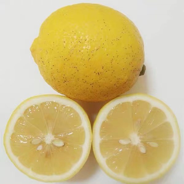 安岳新鲜柠檬丑果5斤皮薄多汁泡水包赔三级柠檬