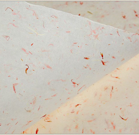 清新练习小楷四开四尺用纸花草临摹创作书法宣纸