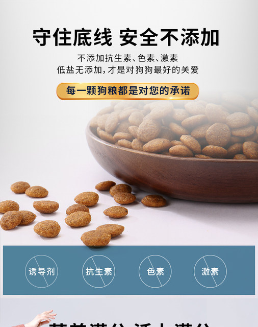 Aier Beef Bilberry Fruit and Vegetable Golden Retriever Teddy Pomeranian Adult Dog Food Dog Staple Food 10kg Pet Dog Food Aier Beef Bilberry Fruit and Vegetable Golden Retriever Teddy Pomeranian Adult Dog Food Dog Staple Food 10kg Pet Dog Food