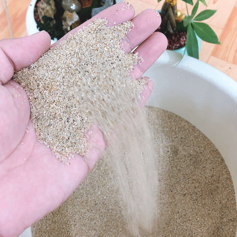 乌龟沙子冬眠专用沙产孵化细沙河沙生蛋保暖爬虫