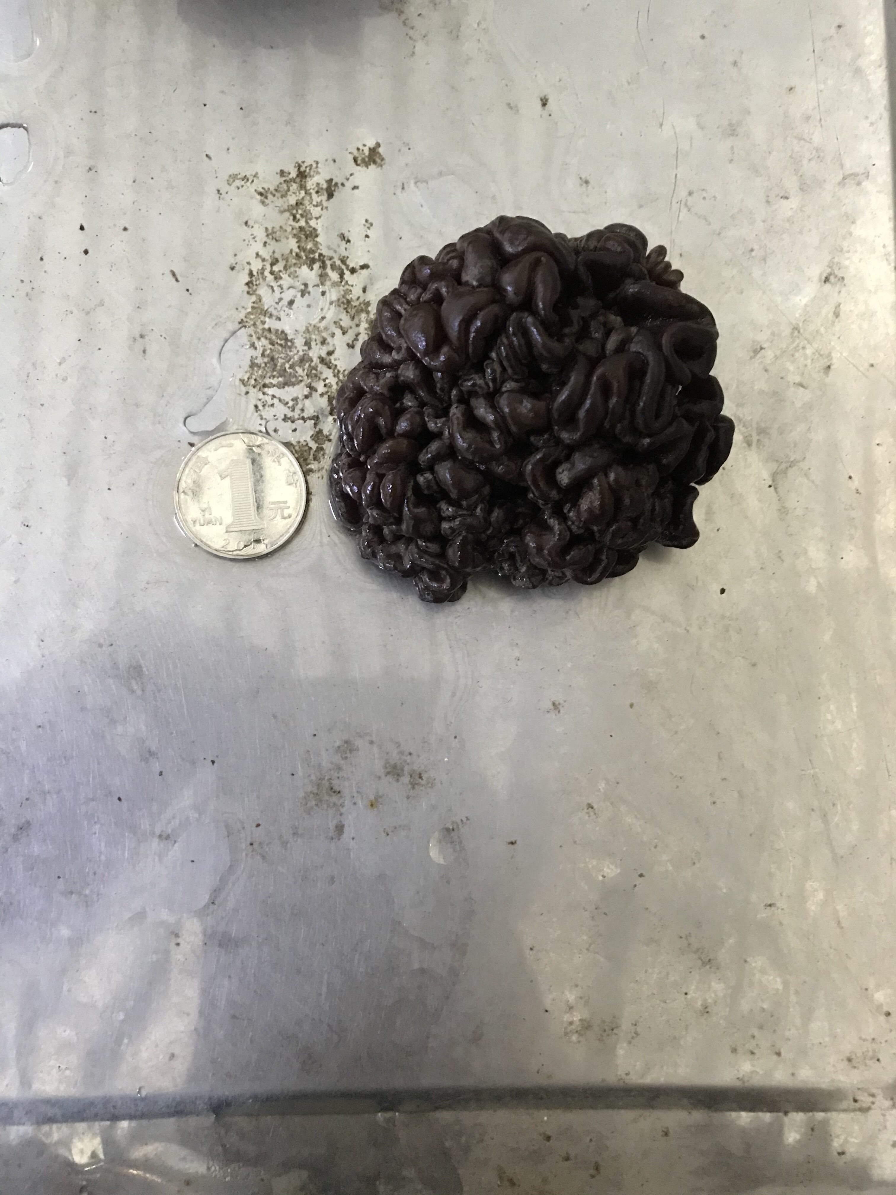 产地直销猴脑菇玛珈菌玛咖菌核核桃干货500g银耳