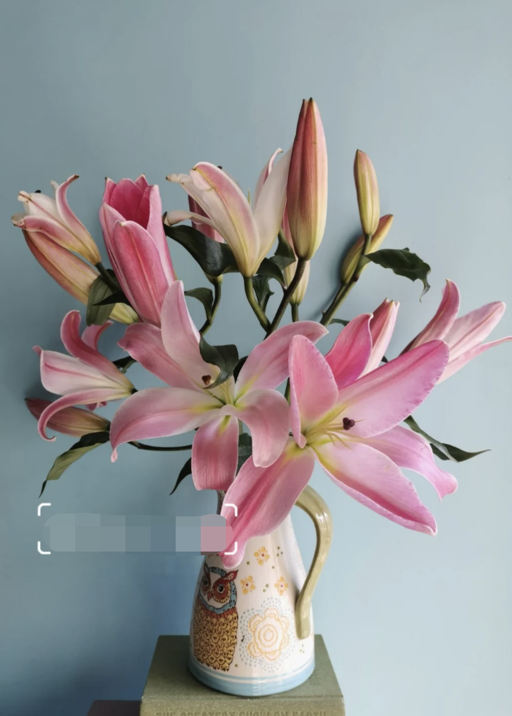 香水百合麦当娜花瓶鲜花客厅室内浓香观花云南基地时令草本花卉