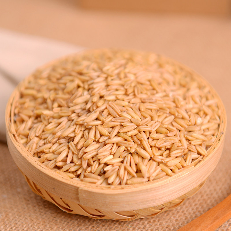 燕麦米 东北裸燕麦仁野麦雀麦农家五谷杂粮 全胚芽2400克非5斤装