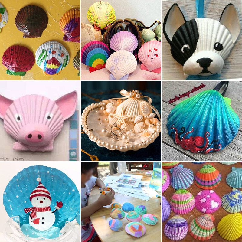 天然大号白扇贝壳彩绘涂鸦烧烤绘画贴墙鱼缸海螺