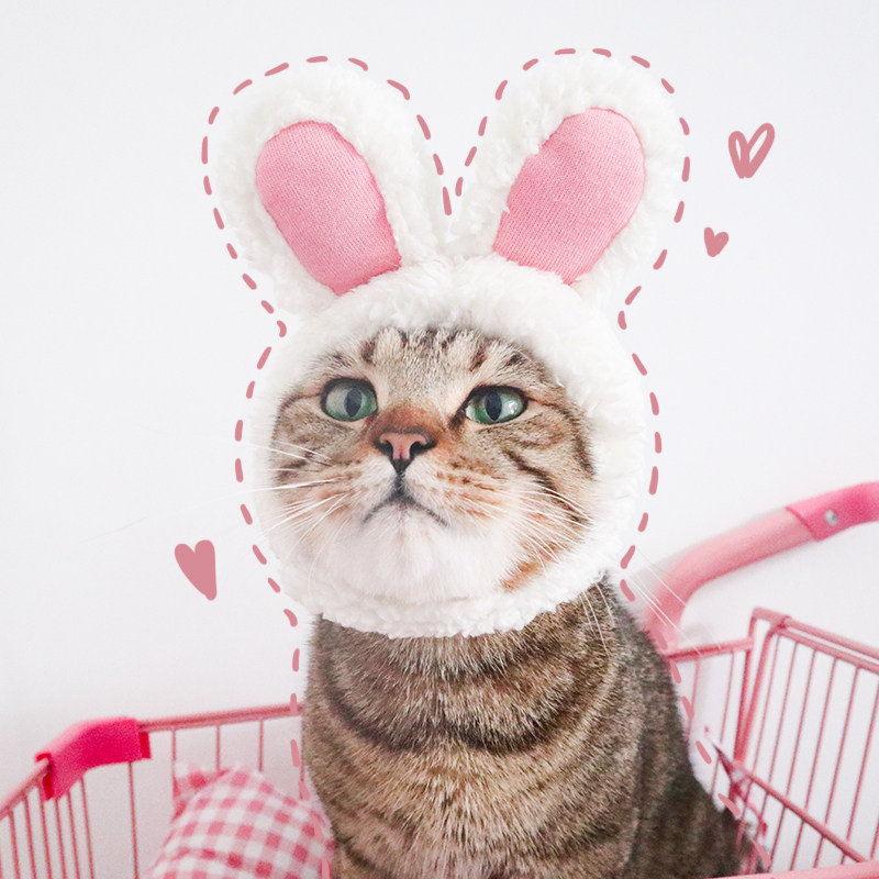 一只可爱猫头饰装饰生日帽子猫猫可爱mao耳朵头饰