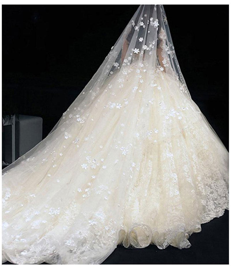 星空空头新娘主婚婚纱白色长款香槟色拖尾头纱头头纱