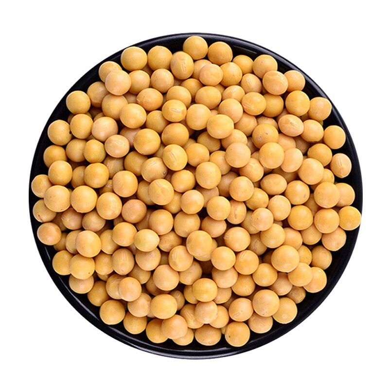 东北北非转基因大粒黄豆豆浆豆腐专用农家自种黄豆