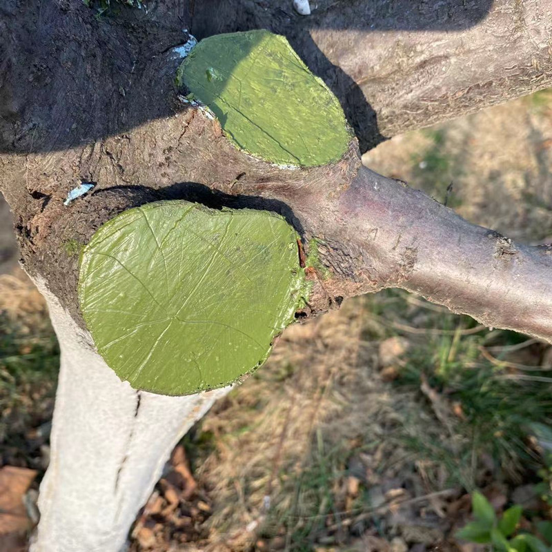 伤口植物愈合合剂树木补剂果树嫁接盆景通用树皮伤口