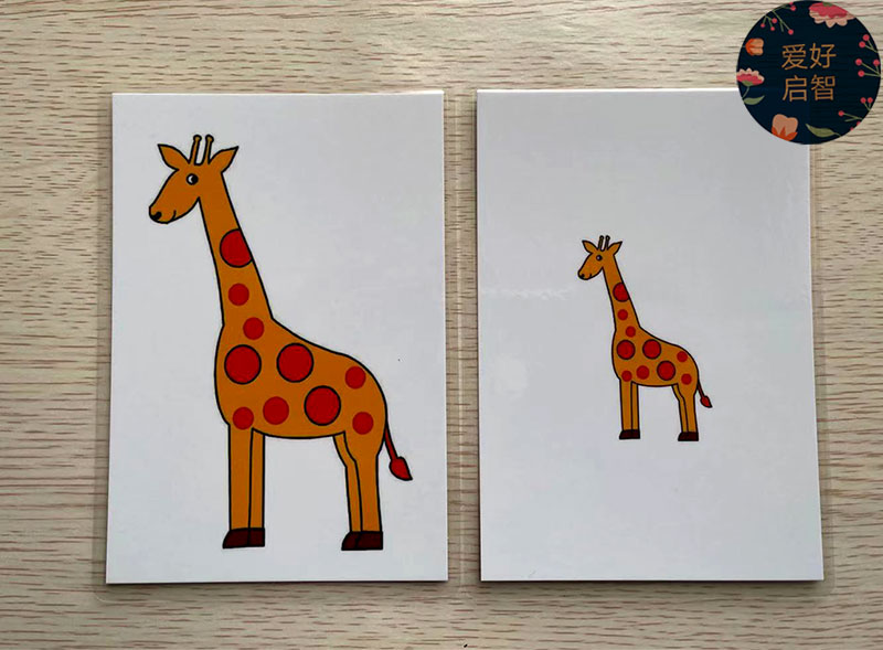 大小高矮长短比较卡片式孤独症康复训练儿童早教玩具挂图