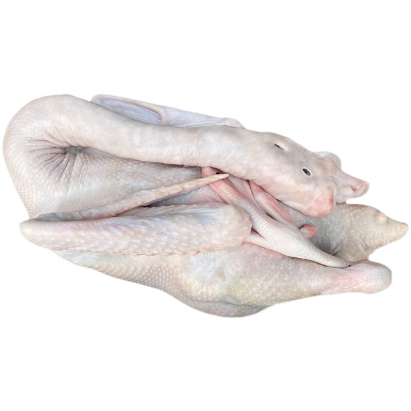 狮头鹅肉新鲜大鹅现杀潮汕鹅整只老鹅冷冻全鹅鹅肉