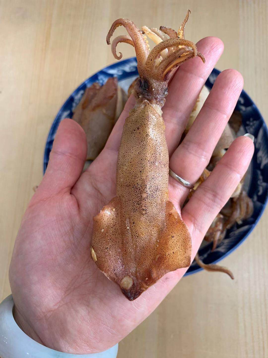 海兔带籽海兔子干满笔管海鲜水产全籽八爪鱼小墨鱼冷冻墨鱼