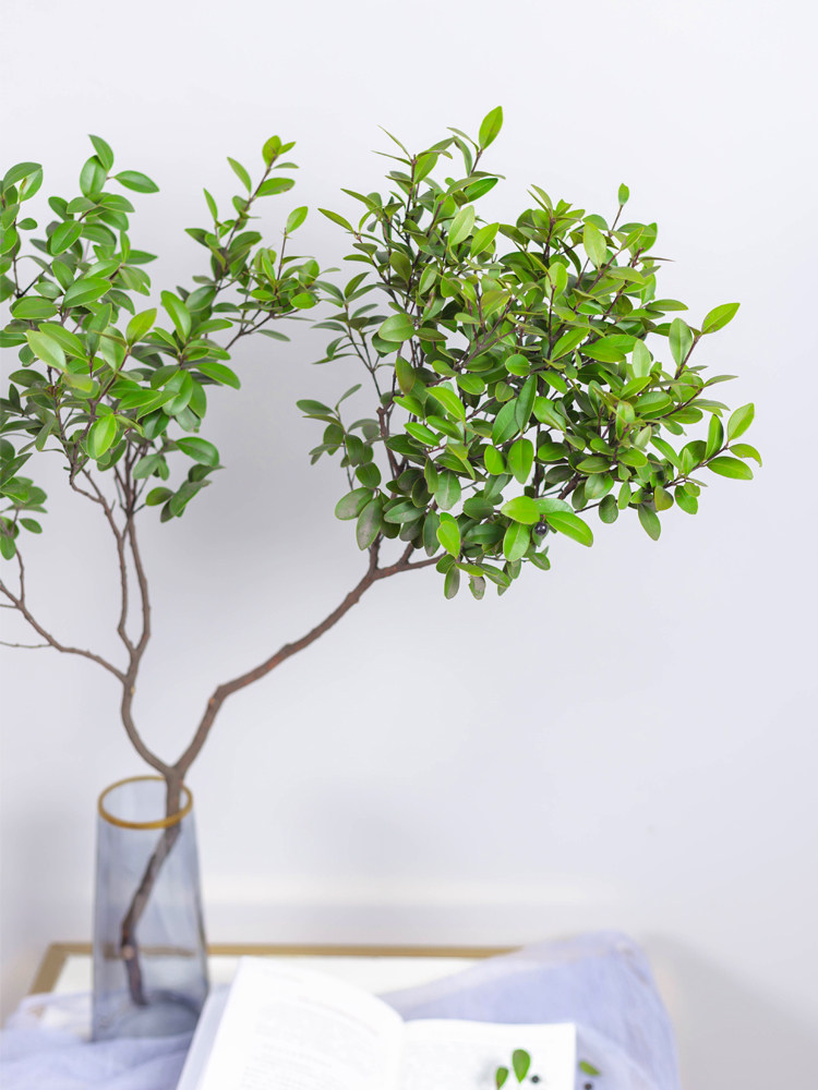 art赤楠枝条国产水培水养鲜切绿植网红家居绿植