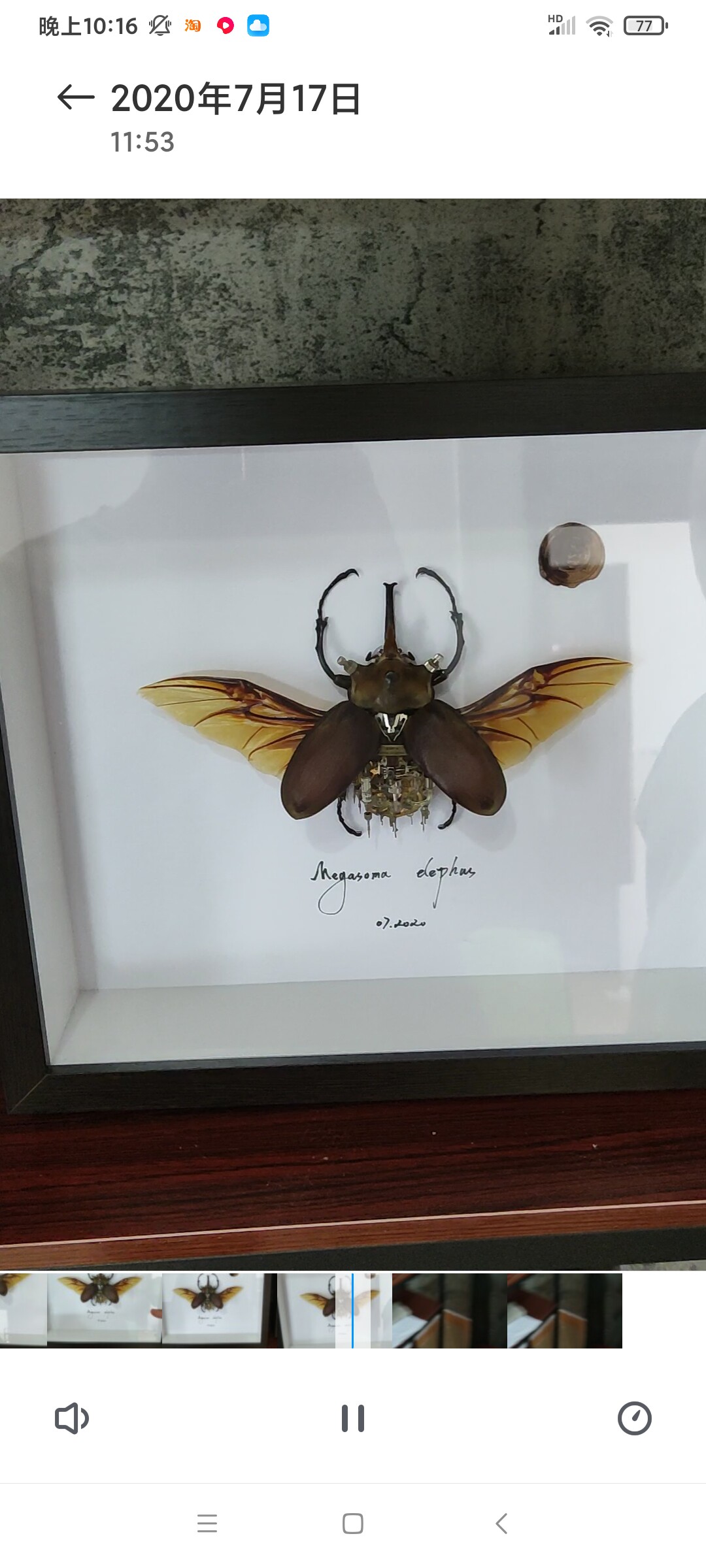 蒸汽朋克甲虫标本毛象大兜个性创意手工摆件摆件