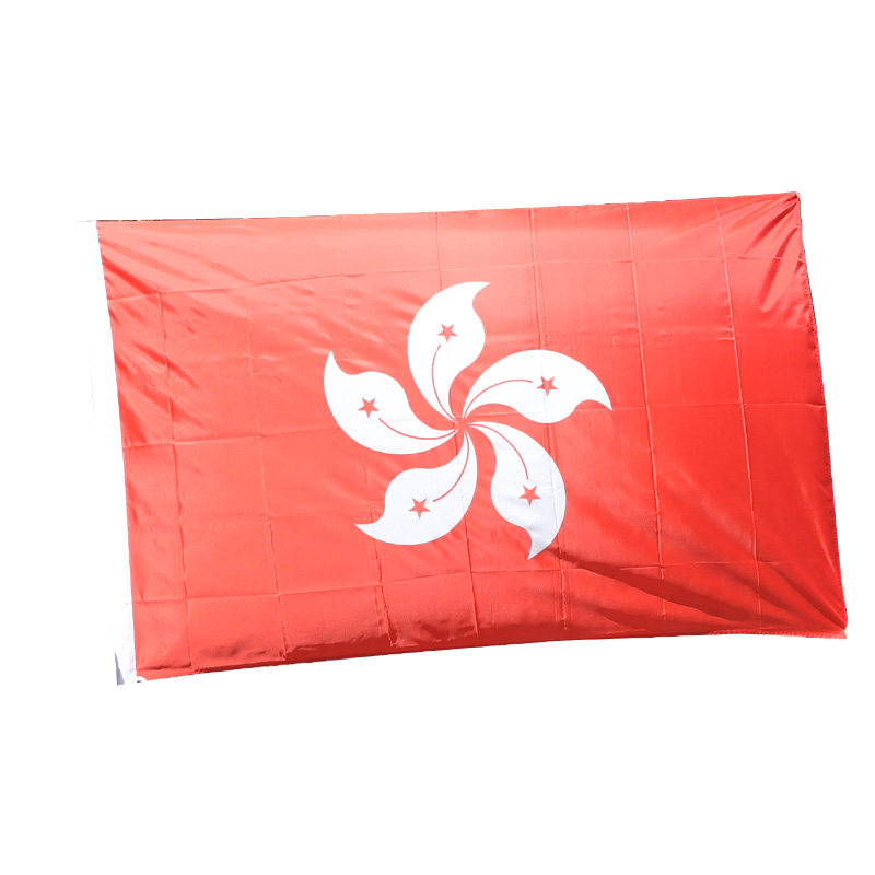 旗帜香港三号区旗紫荆花特区户外3号128cm定制旗帜