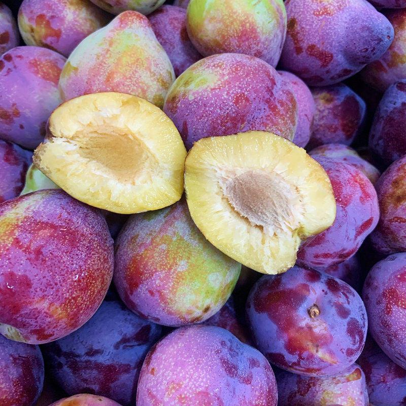 李子东北干核吉盛桃型离核牛心鸡心干碗5斤李子