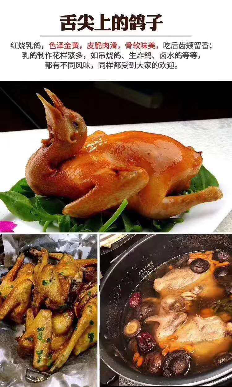 2只杂粮鸽子鲜嫩重庆包邮散养深山农村土鸽乳鸽