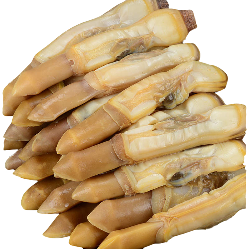 蛏子肉蛏王肉超大竹蛏青岛鲜活现剥新鲜冷冻竹节蛏海圣子500g - 爱购