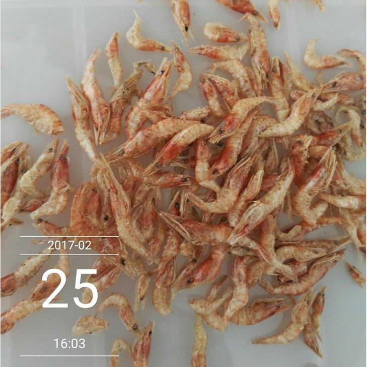 龟粮虾干乌龟饲料虾干巴西龟粮鱼干虾干淡水虾干草龟散装