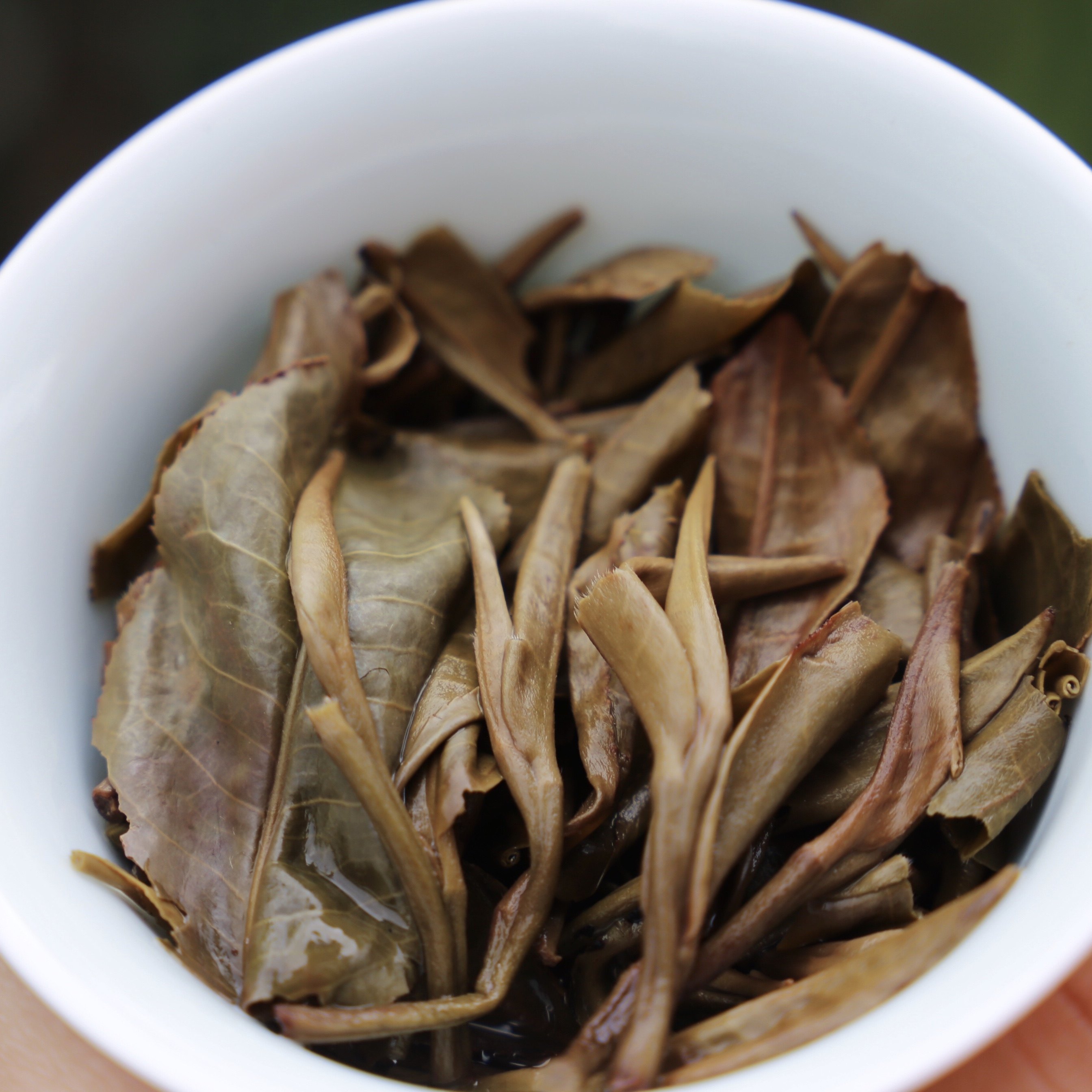 2018南糯山古树茶全芽生茶100克小饼南糯白毫古树生普洱