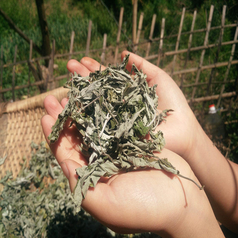 艾叶艾草野生艾叶 陈艾草艾叶草 干艾草泡脚包泡澡艾条艾绒艾柱