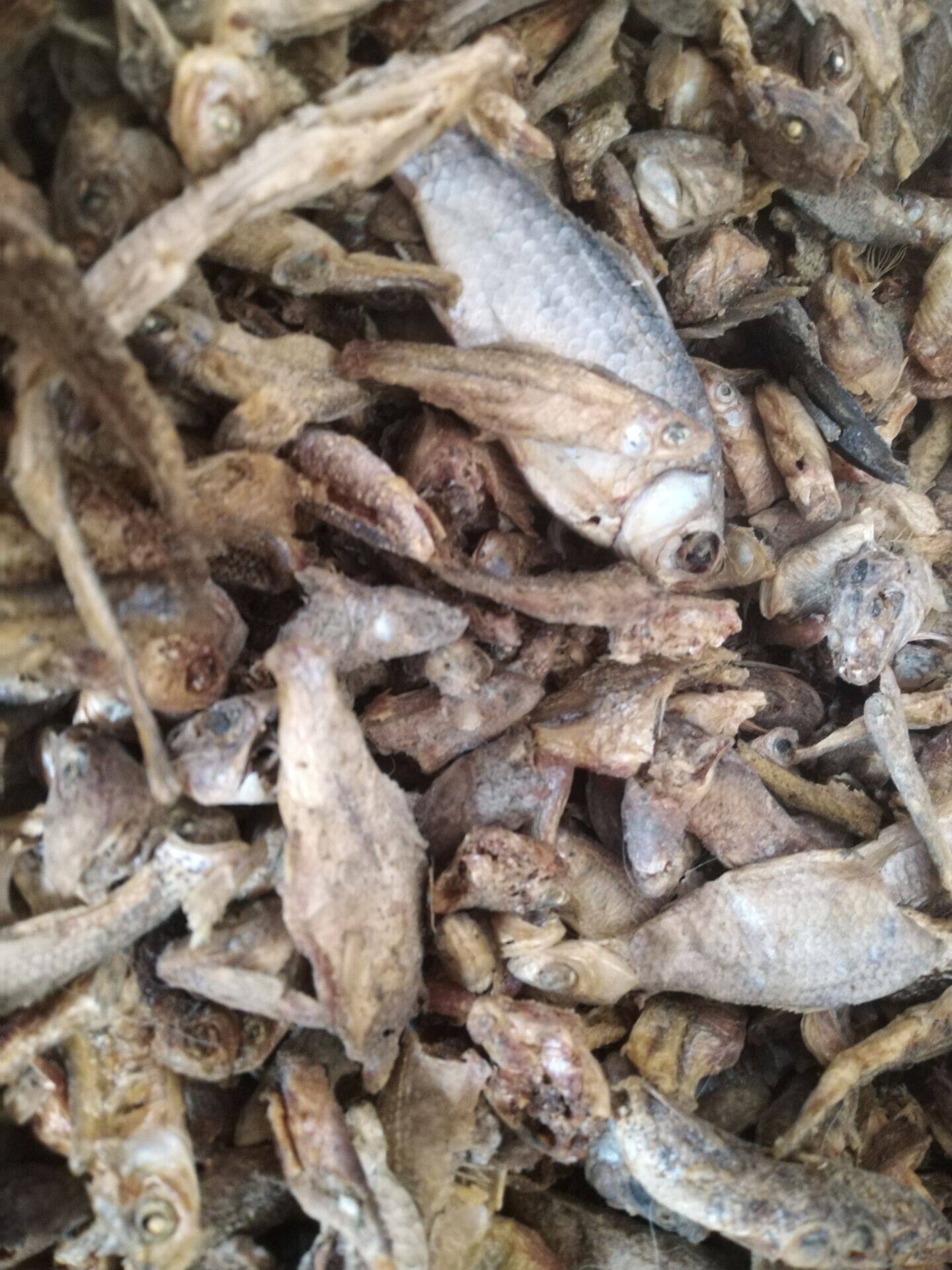 干碎特价淡水无盐小鱼鱼沫碎肉碎沫乌龟宠物鱼干