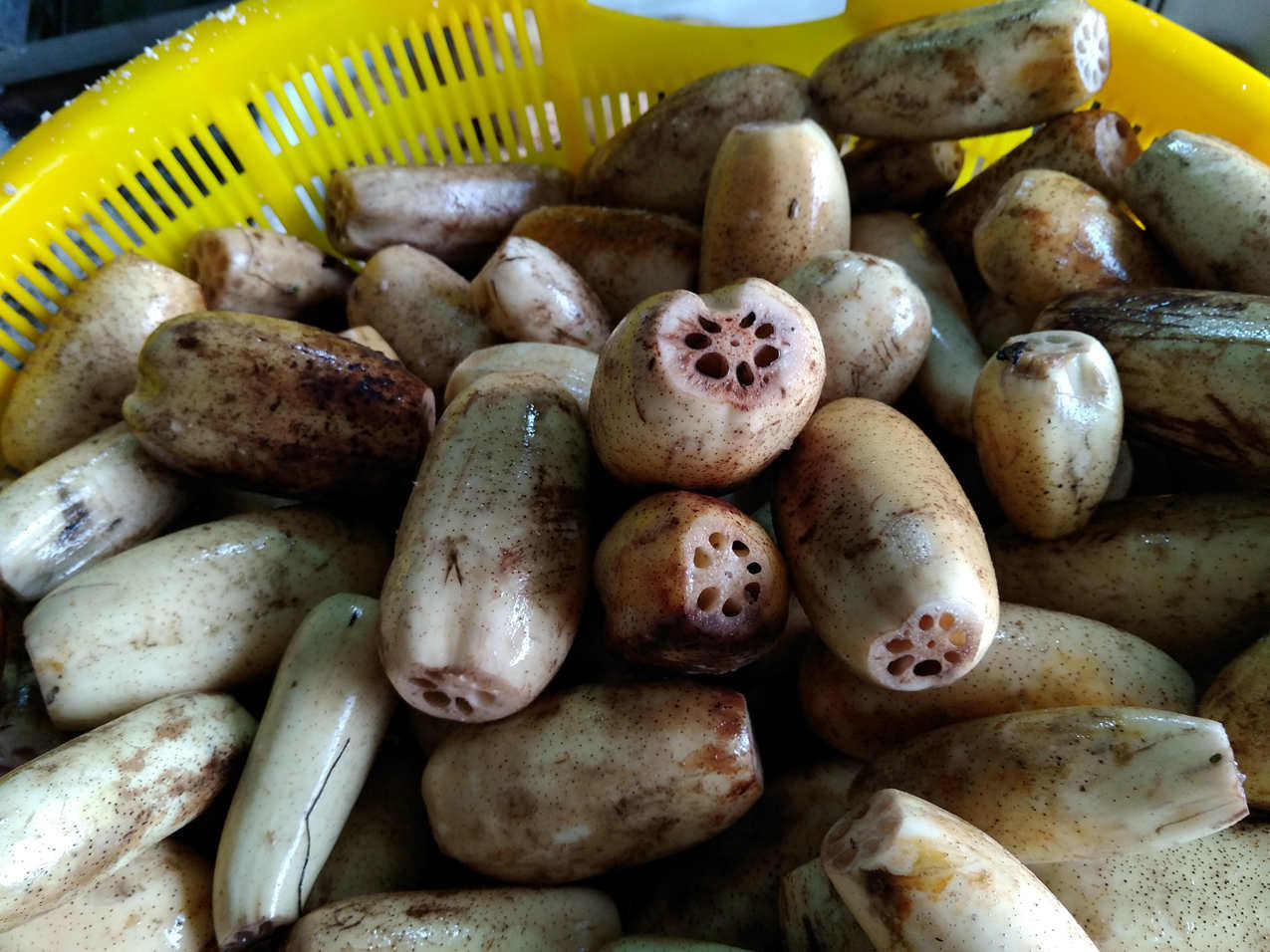 小乔家邻居家边角料小藕藕粉时间颜色好看天然粉粉食品