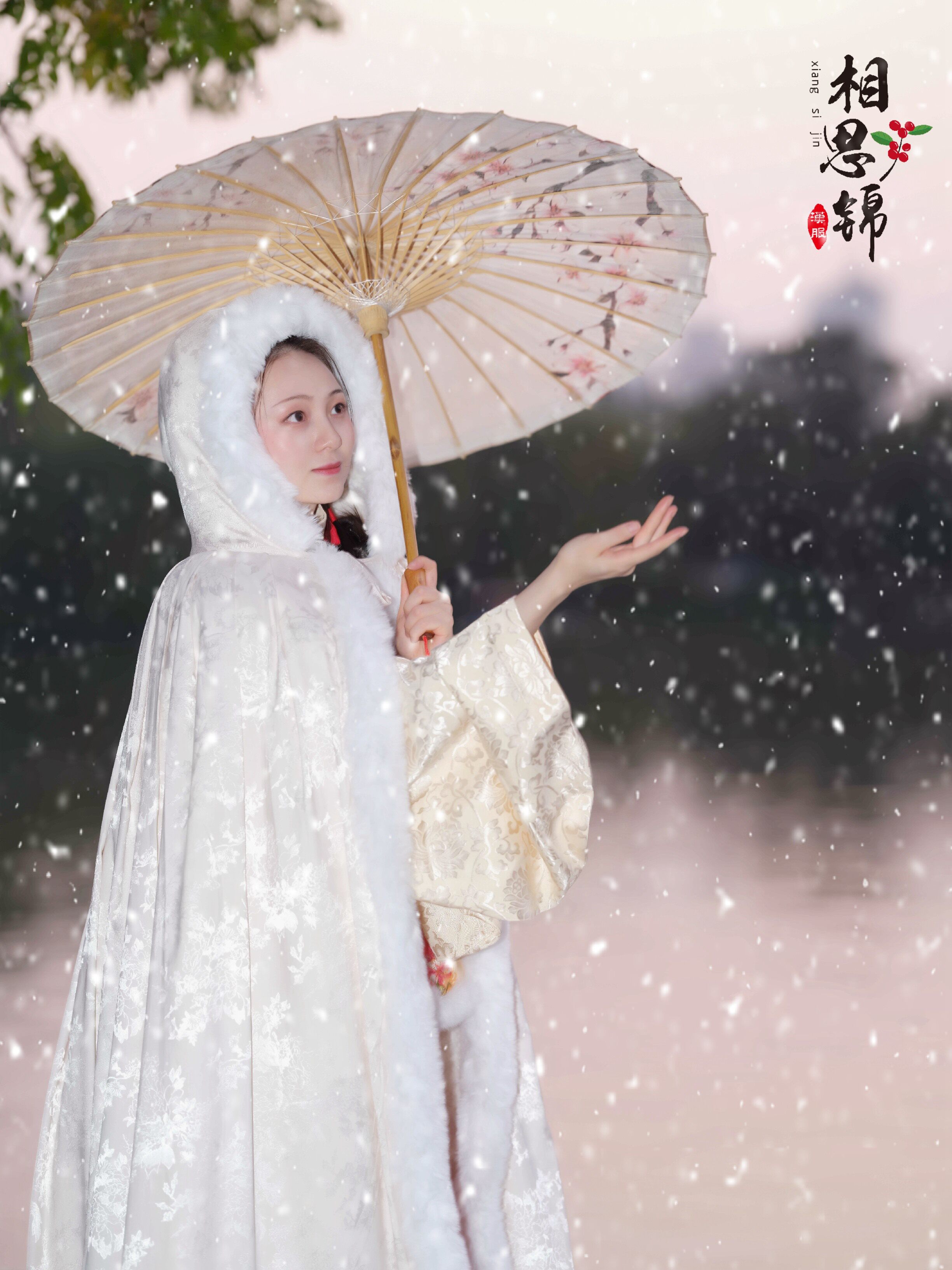 相思思锦汉服红楼梦黛玉斗篷原创冬季汉服斗加绒汉服上装