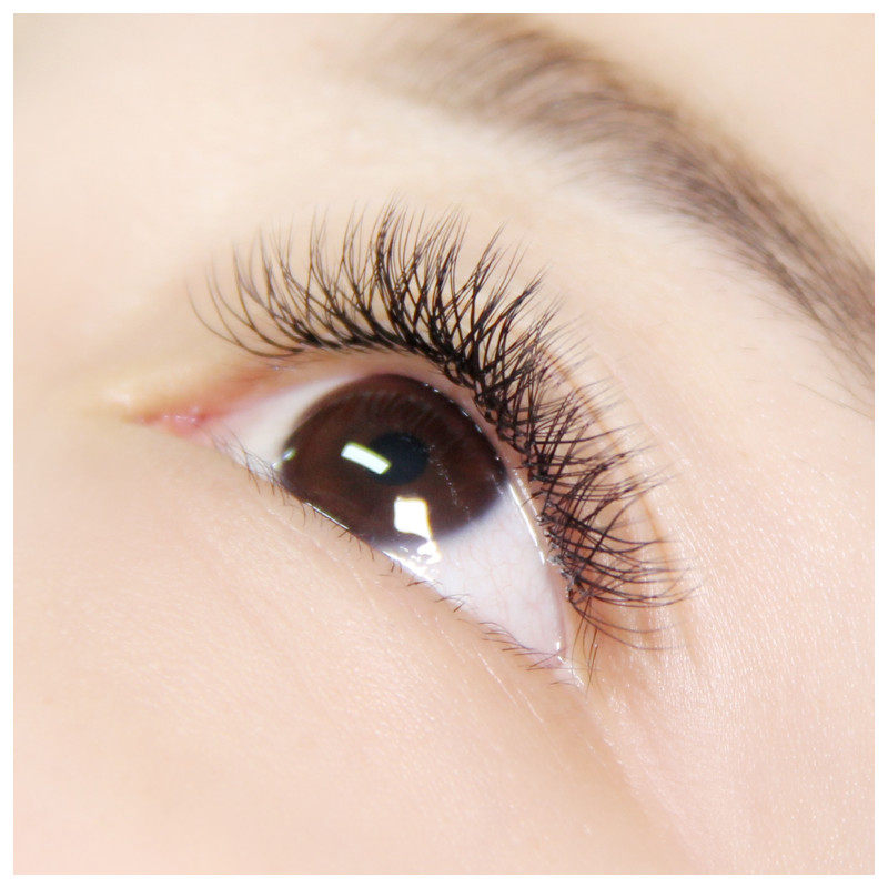 睫毛编织嫁接郁金香种植yy自动一秒网状开花假睫毛