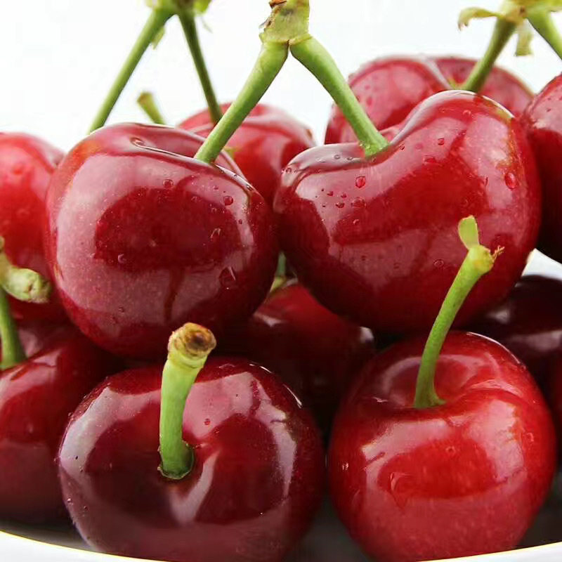 樱桃辽宁大连美早车厘子2斤脆甜新鲜孕妇现摘车厘子
