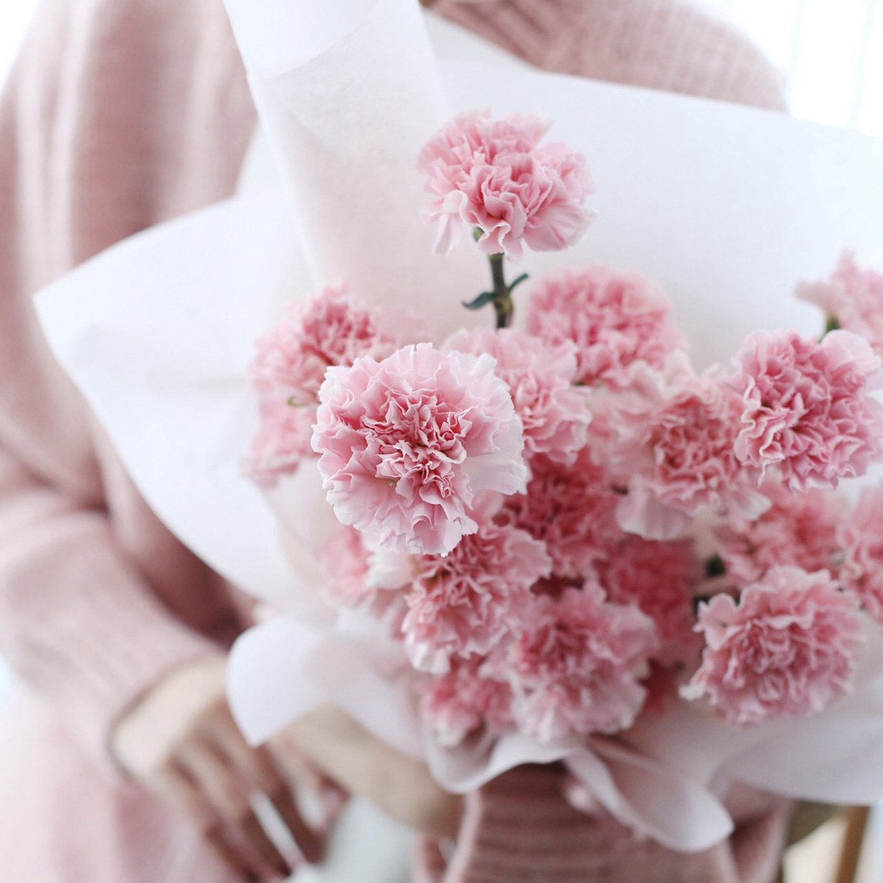 网红樱花花粉佳人康乃馨复古古色新鲜花卉鲜切花卉