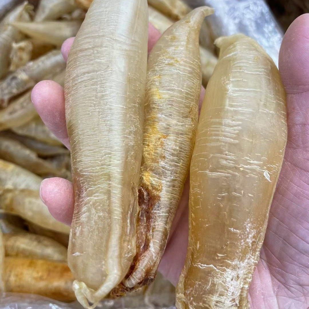 鱼胶30头潮汕本地金龙金龙鱼原装涨气胶筒清水花胶