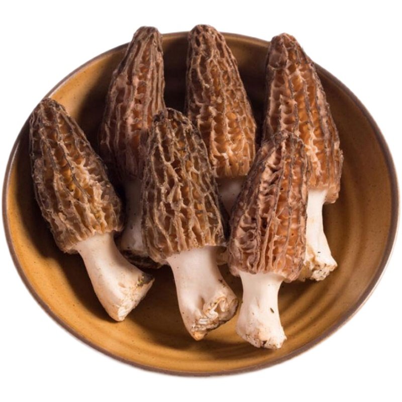 新鲜羊肚头茬特级云南特产蘑菇菌非野生500g新鲜松茸