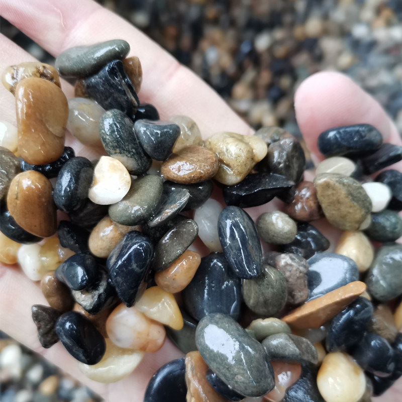 豆石过滤沼泽鹅卵石地暖回填施工鱼缸滤料材料其它园艺用品