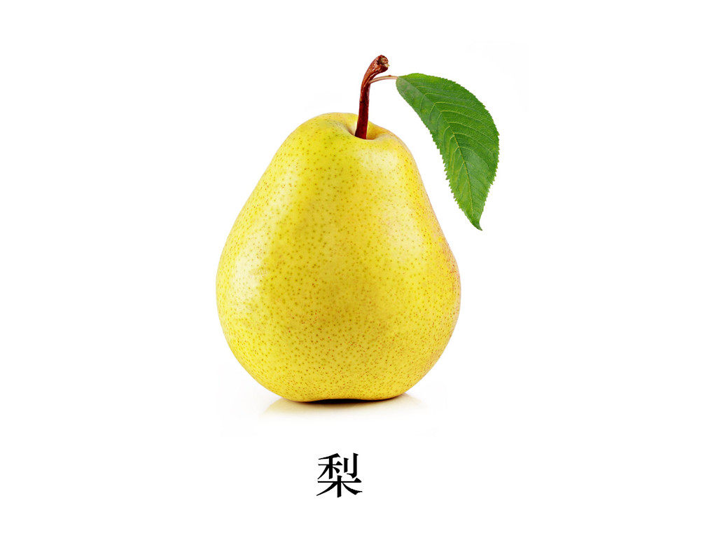 认知水果卡片式早教发育迟缓自闭症儿童aba教学玩具挂图