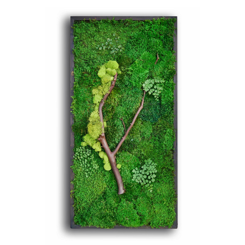 植物绿植永生苔藓绿色干花立体艺术背景墙装饰现代装饰画