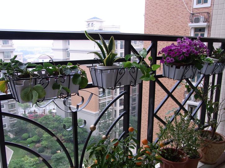 花架阳台栏杆绿萝种花菜盆悬挂栅栏多肉花盆花架