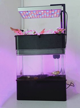 迷你小型鱼菜共生系统封闭式水族箱