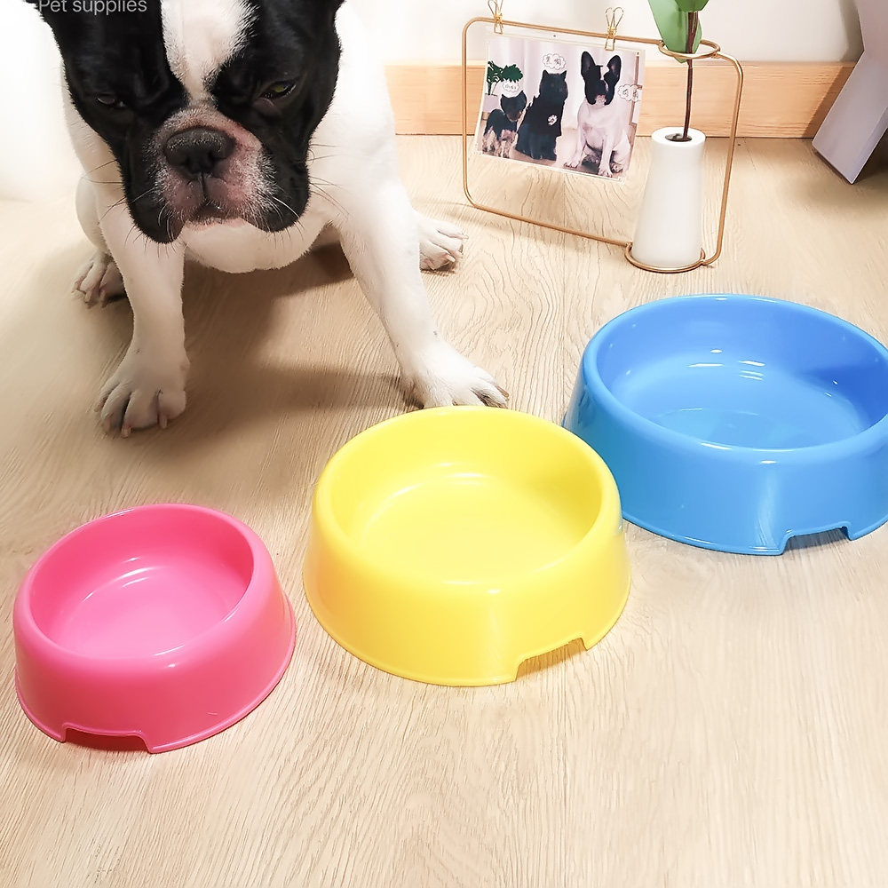 环保塑料宠物食盆单碗糖果色圆口宠物狗碗
