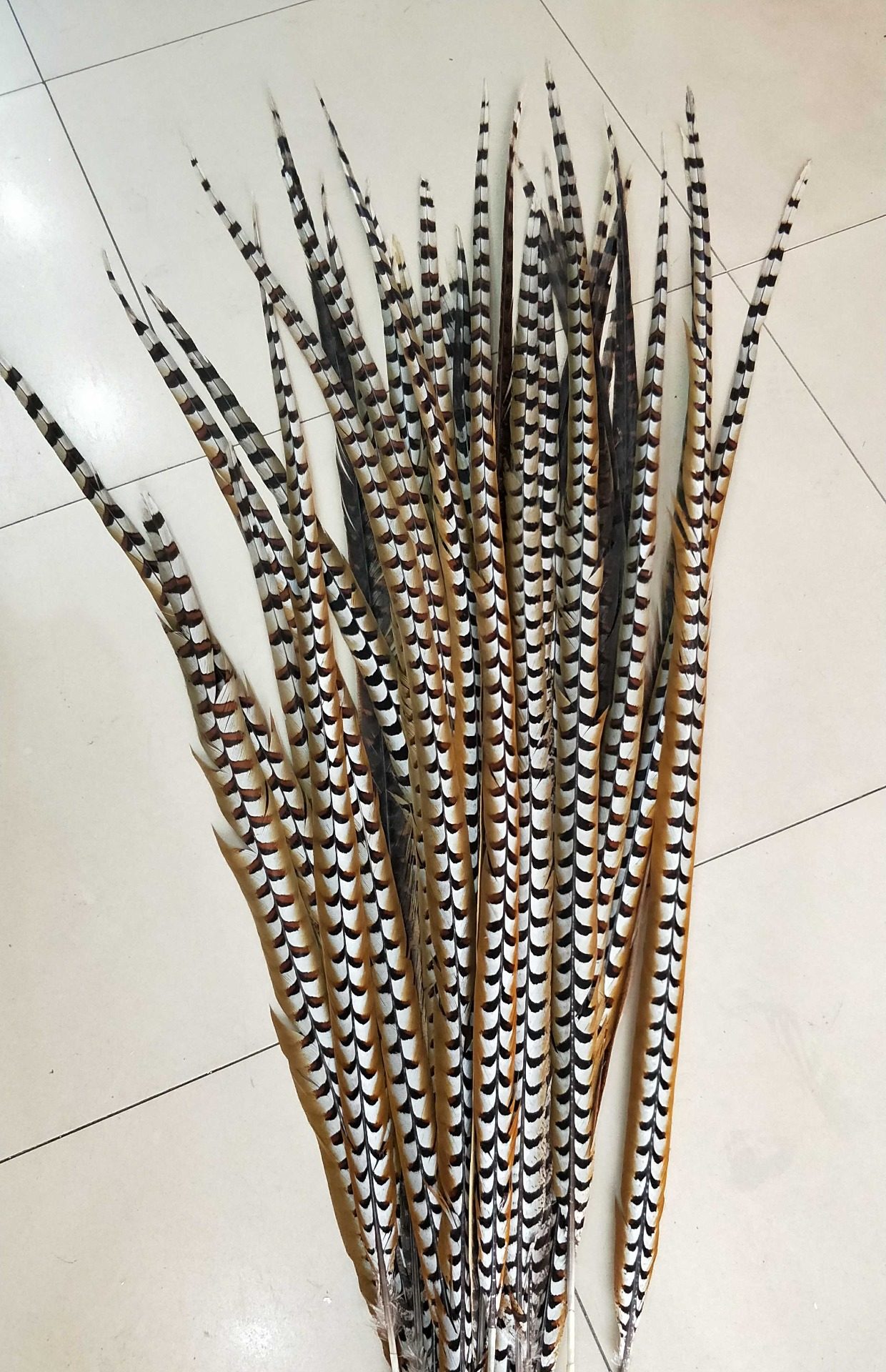 孙悟空花旦京剧戏曲京戏演出天然然野鸡毛翎毛民族服装