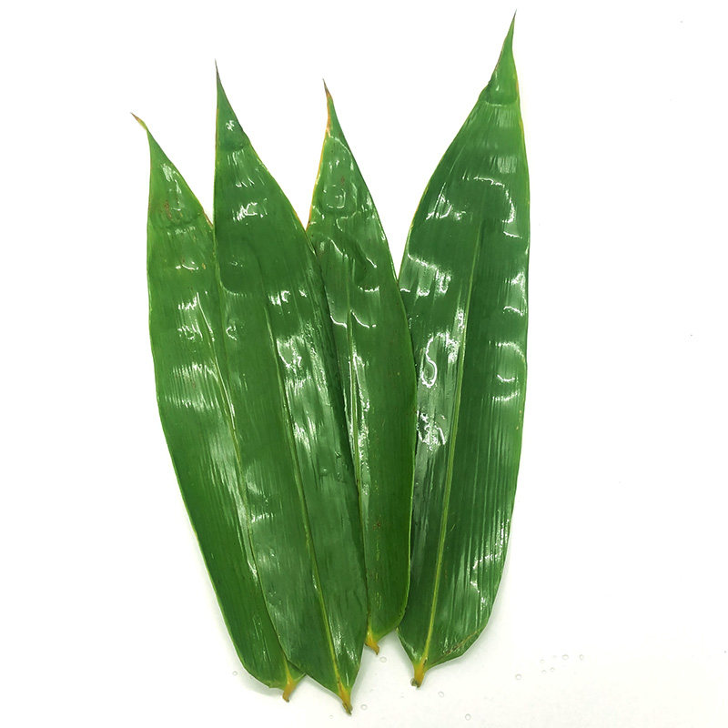 粽叶箬叶粽粑叶粽绳芦苇野生叶子粽子新鲜包粽子粽子