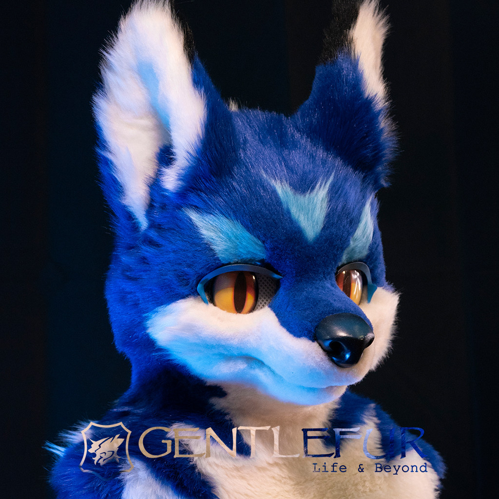 gentlefur兽装全身定做定制展示一一多拉cosplay配件